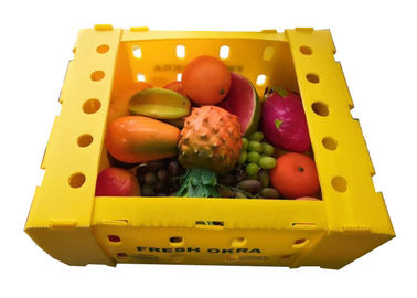 Κοίλο ζαρωμένο πλαστικό κιβώτιο συσκευασίας PP σταφίδων φρούτων