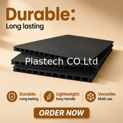 ποιότητας  10mm 3000gsm Plastic Proction Plastic Sheet Fly case Hoenycomb Polypropylene Flight Panel εργοστάσιο
