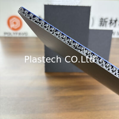 Πίνακα 12mm Honeycomb Πίνακα πτητικής θήκης Συσκευές πτητικής θήκης Πίνακες πλαστικού φύλλου Πίνακα μύγα Hoenycomb
